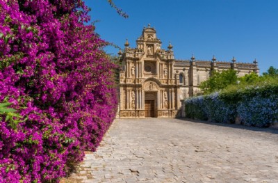 Jerez de la Frontera es un importante referente hist�rico, econ�mico y cultural del sur de Espa�a, situado en la provincia de C�diz, en Andaluc�a occidental. Su posici�n estrat�gica combina tradici�n agr�cola, innovaci�n agroalimentaria y proyecci�n inter